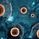 🧬 Terapia con Células Madre: El Futuro de la Sanación en la Medicina Regenerativa 🧬 Terapia con Células Madre: El Futuro de la Sanación en la Medicina Regenerativa