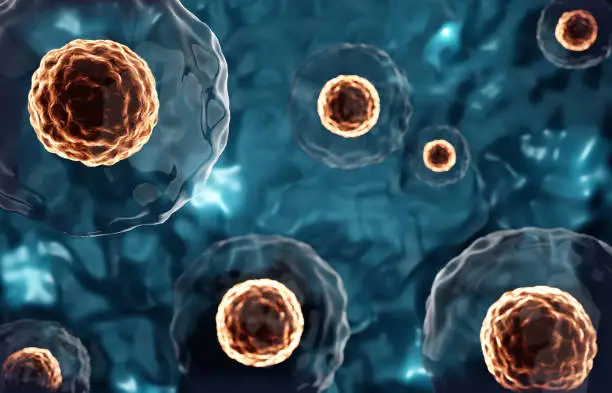 🧬 Terapia con Células Madre: El Futuro de la Sanación en la Medicina Regenerativa 1 Terapia con células madre: Investigación sobre células madre bajo el microscopio.